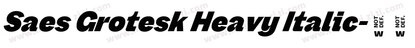 Saes Grotesk Heavy Italic字体转换